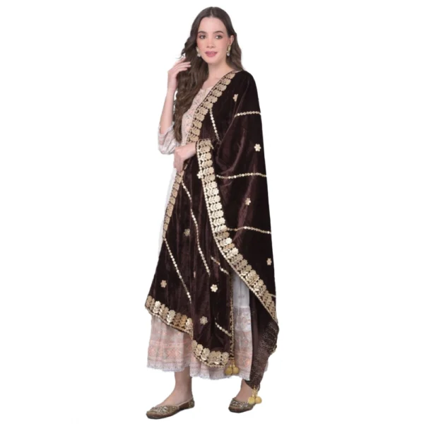 Brown Velvet Gotta Patti Dupatta