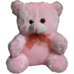 Generic Lovely Teddy Bear (Pink)