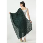 Generic Women's Chanderi Self Design Dupatta (Green, Length: Free Size) - Image 4