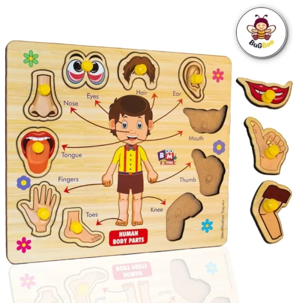 Wooden Body Parts Puzzle for toddlers
