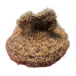 Generic Laddu Gopal Tharad Dress Size: 0 To 6 (Multicolor) - Image 3