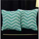 Generic Cotton Handcrafted Pit Loom Cushion Cover 16x16 Inch Pack of 2 (Sea Green)