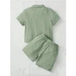 Generic Boy's Popcorn Solid Short Sleeve Shirt And Shorts Set (Pista) - Image 5