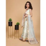 Generic Girl's Chiffon Printed Lehenga Choli Set (Green) - Image 4