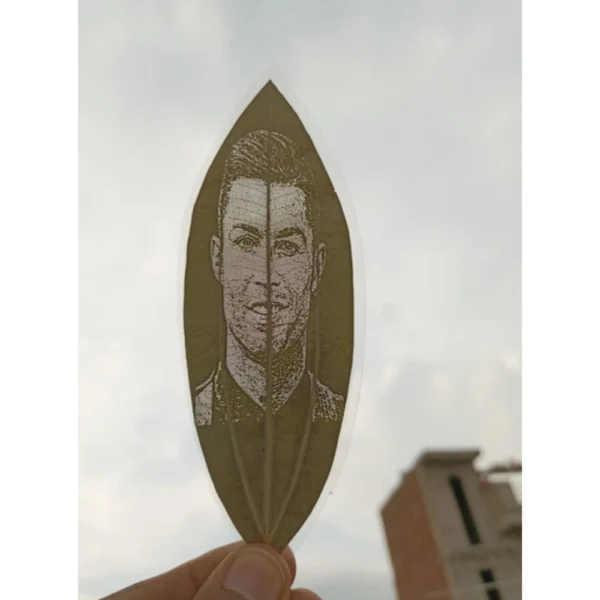 Engraved football icon portrait on a natural leaf
