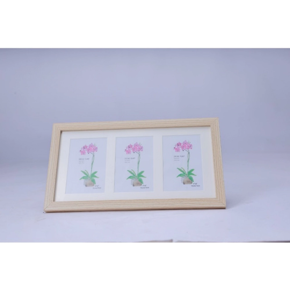 Multicolor Acrylic Cactus Image Frame for Home Decor
