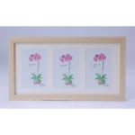 Generic Acrylic Cactus Image Frame (Multicolor) - Image 2