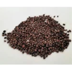 Packet of organic Sango Radish microgreen seeds