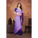 embroidered chiffon saree