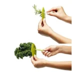 Vegetable Herb Stripper - Angle 3