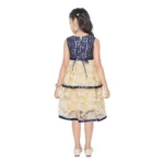 Generic Girl's Fancy Net Net Sleeve Less Round Neck Dress (Blue) - Image 3