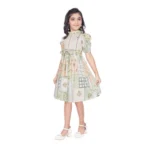 Generic Girl's Digital Knitted Printed Half Sleeve Close Neck Dress (Light Green) - Image 4