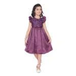 Purple Satin Printed Sleeveless Dress for Girls