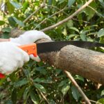 Heavy Duty Gardening Pruning Tool Combo Set (2 Pc Set) - Image 4