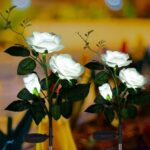 Solar Powered Decorative Garden Flower Lights Set of 2 - Image 3