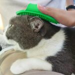 Pet Grooming Bath Brush with Adjustable Hand Strap for Dogs & Cats (1 Pc) - Image 3