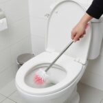Long Handle Toilet Cleaning Brush
