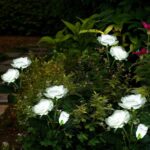 Solar Powered Decorative Garden Flower Lights Set of 2 - Image 4