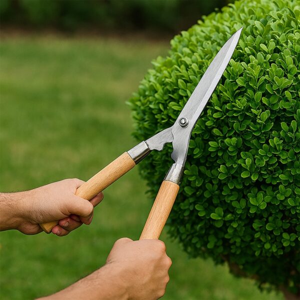Wooden Handle Hedge Shears