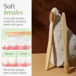 Premium Wall Mounted Toothbrush Holder Set (1 Set) - Image 7