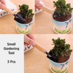 Complete Gardening Tool Kit (1 Set) - Image 9