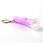Mini LED Flashlight Keychain Torch (Mix Color & 1 Pc) - Image 10