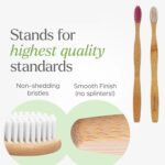 Premium Wall Mounted Toothbrush Holder Set (1 Set) - Image 6