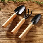 Small sized Hand Cultivator, Small Trowel, Garden Fork (Set of 3) - Image 10