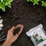 Black Organic Soil Fertilizer for Home Gardening (1 Pc, 1 Kg) - Image 8