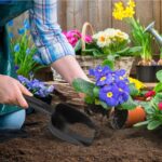 Heavy Duty Plastic Garden Hand Trowel (1 Pc) - Image 8