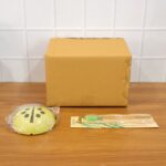 cute ladybug toothbrush holder with toothbrush combo set - Image 8