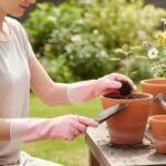 Complete Gardening Tool Kit (1 Set) - Image 4