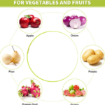 Stainless Steel Apple Cutter / Slicer with 8 Blades and Handle - Image 3