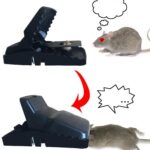 Reusable Mouse Trap Cage for Home Office