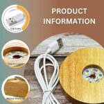 3D Crystal Lakshmi Ball LED Night Lamp with Wooden Base - Image 8