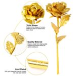 B Golden Rose is perfect for decorating homes, offices, cafes (3 Pc Set) - Image 3