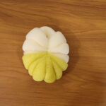 Dual Color Soft Mesh Bath Loofah Body Scrubber (1 Pc) - Image 7