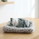 Soft Plush Cute Closed-Eye Cat Car Dashboard Showpiece Toy (1 Pc) - Image 7