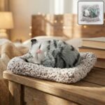 Soft Plush Cute Closed-Eye Cat Car Dashboard Showpiece Toy (1 Pc)
