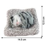 Soft Plush Cute Closed-Eye Cat Car Dashboard Showpiece Toy (1 Pc) - Image 6