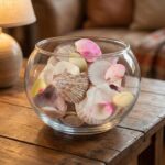 Natural Decorative Sea Shells Set (1 Set) - Image 3
