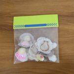 Natural Decorative Sea Shells Set (1 Set) - Image 9