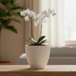 Premium White Ribbed Decorative Flower Pot (1 Pc) - Image 3