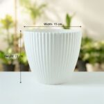 Premium White Ribbed Decorative Flower Pot (1 Pc) - Image 6