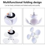 Solar Garden Decorative LED Ground Lights (2 Pc Set) - Image 8