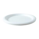 Vegnar Disposable Round Food Serving Plate (10 Pc) - Image 5