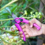 Stainless Steel Garden Scissors, flower cutter - Image 4
