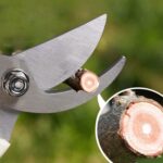 Stainless Steel Garden Scissors, flower cutter - Image 3