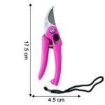 Stainless Steel Garden Scissors, flower cutter - Image 6