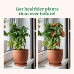 Red Organic Soil Fertilizer Granules  (1 KG Pack) - Image 3